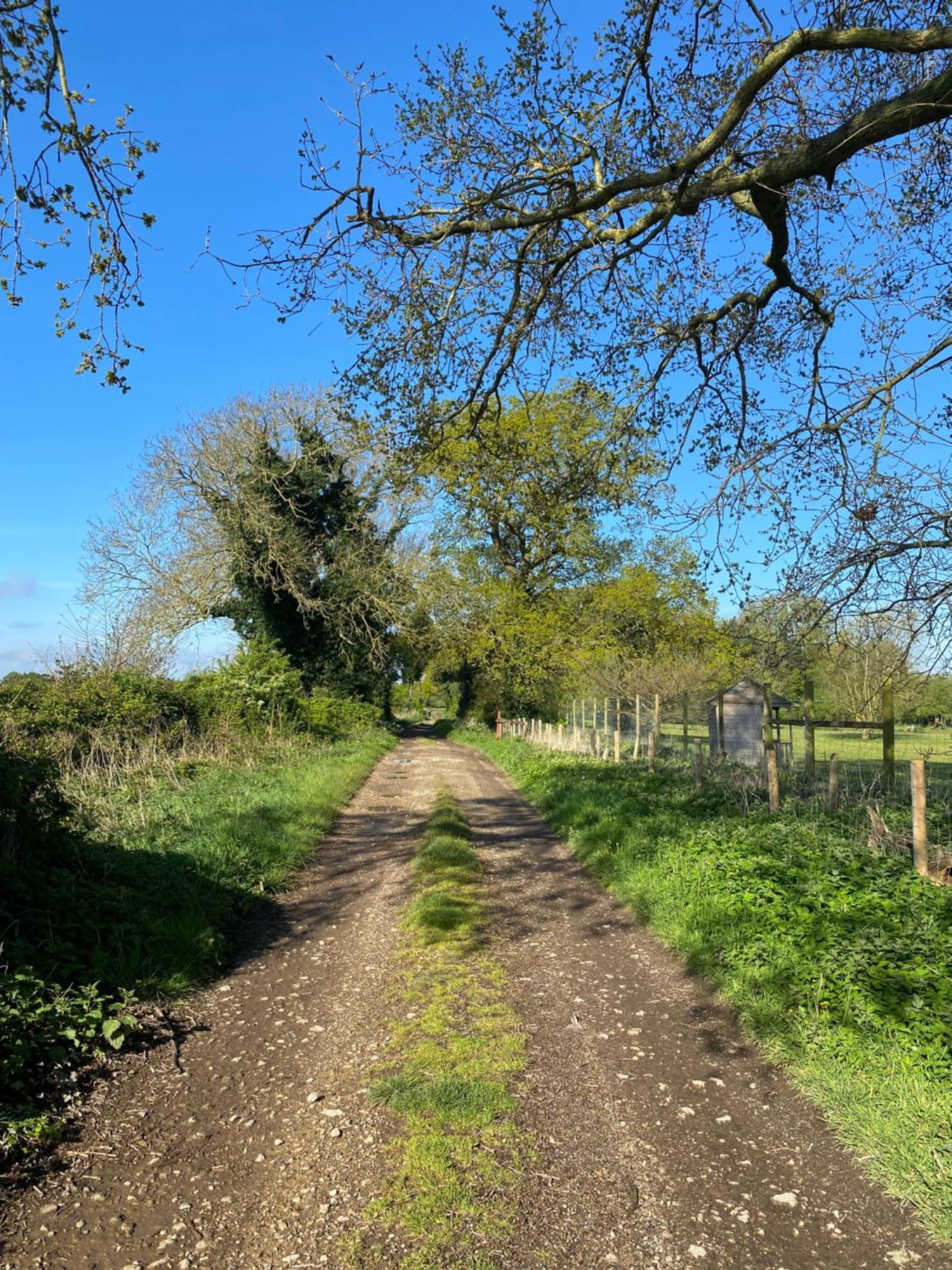 Blossom Lodge - Detached Bungalow Near Kings Lynn Narborough  Exteriér fotografie